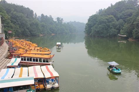 浦江在什麼地方